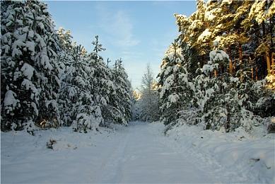 黄旭东爆料魔兽国服谈崩内幕：网易想续约1年 暴雪不干