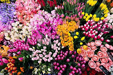 在游玩Switch2游戏前需要更新这五个设置