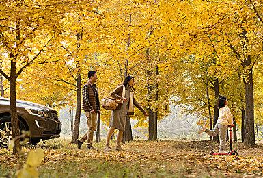 《艾诺提亚：失落之歌》IGN 7分 战斗有趣、RPG不成熟